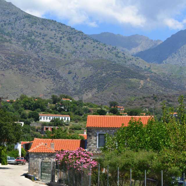 Αλώνια